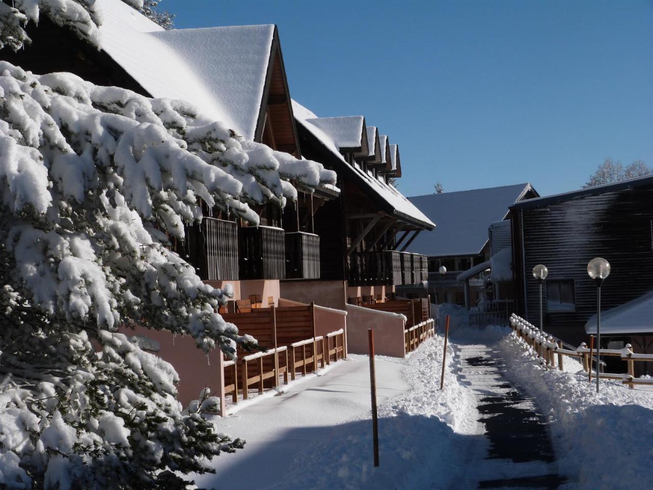 Residence Le Bois De La Reine Super Besse Exterior foto