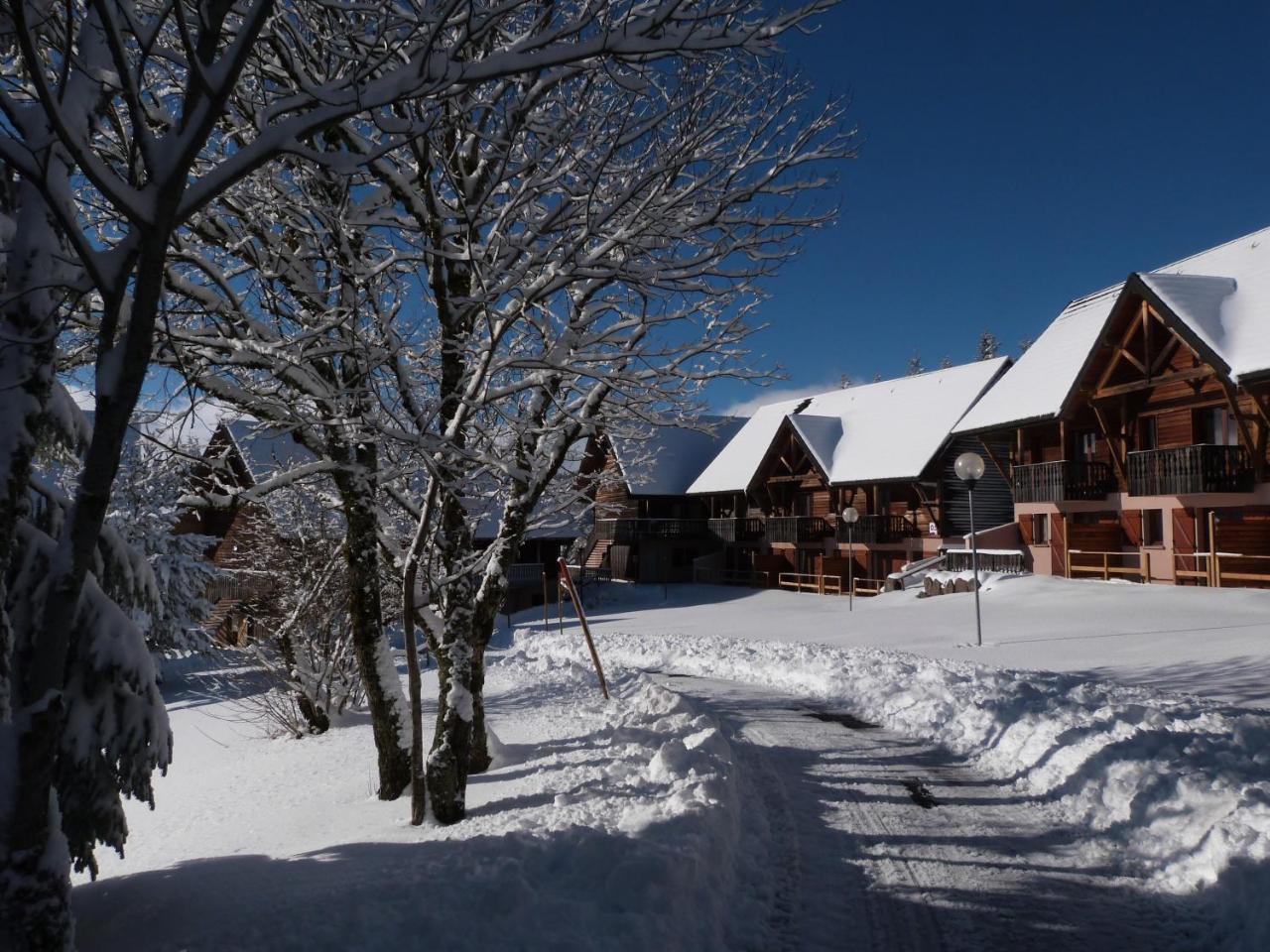 Residence Le Bois De La Reine Super Besse Exterior foto
